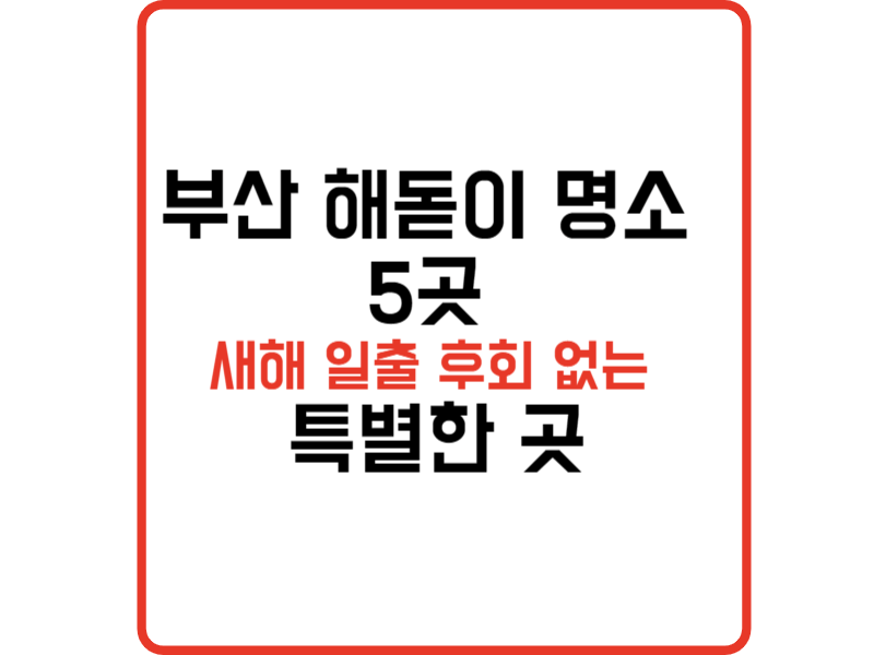 부산 해돋이 명소 5곳 새해 일출 후회 없는 특별한 곳