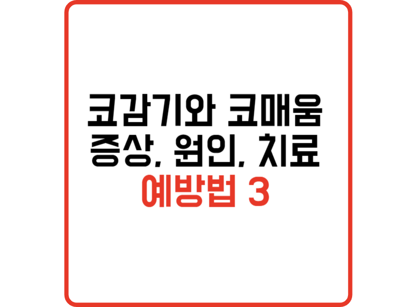 코감기와 코매움: 증상, 원인, 치료 및 예방법 3