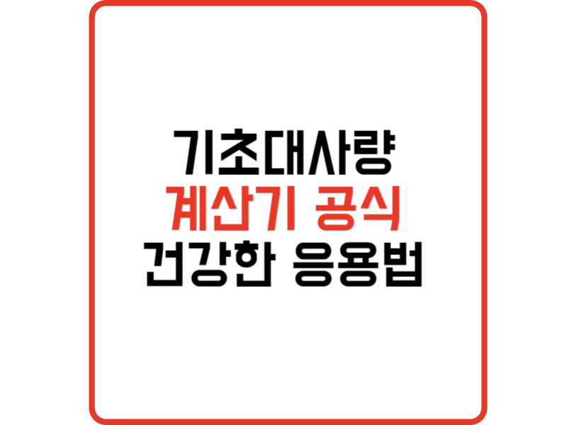 기초대사량 계산기 공식으로 얻은 건강한 삶