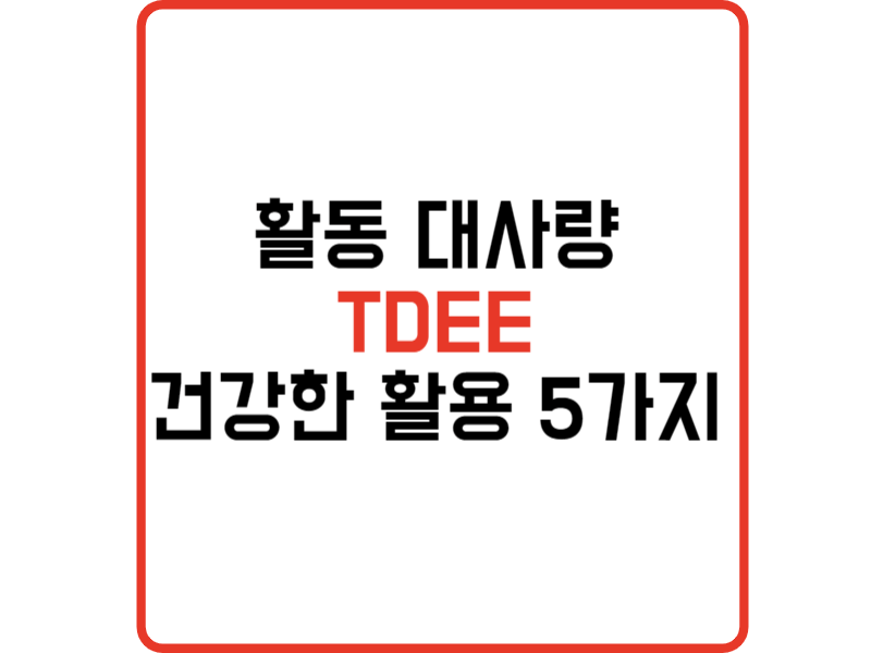 활동 대사량 계산기 TDEE 활용법 5가지